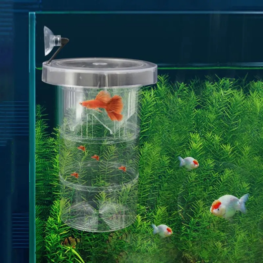 Acrylic Floating Fish Breeding - огляд і ціна Aquarium Fish Feeder