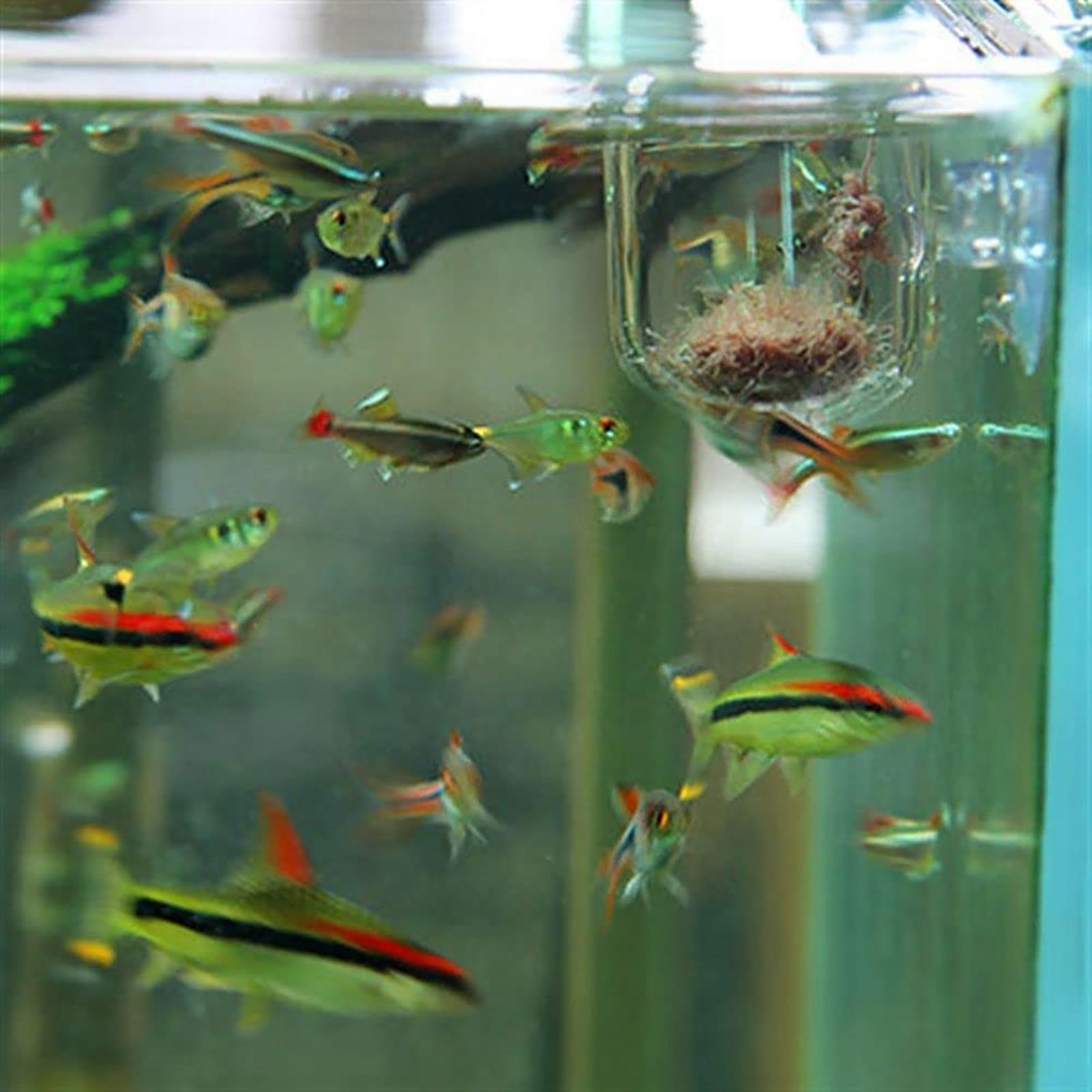 Aquarium Decoration Plant Cup  - огляд і ціна Aquarium Fish Beautiful