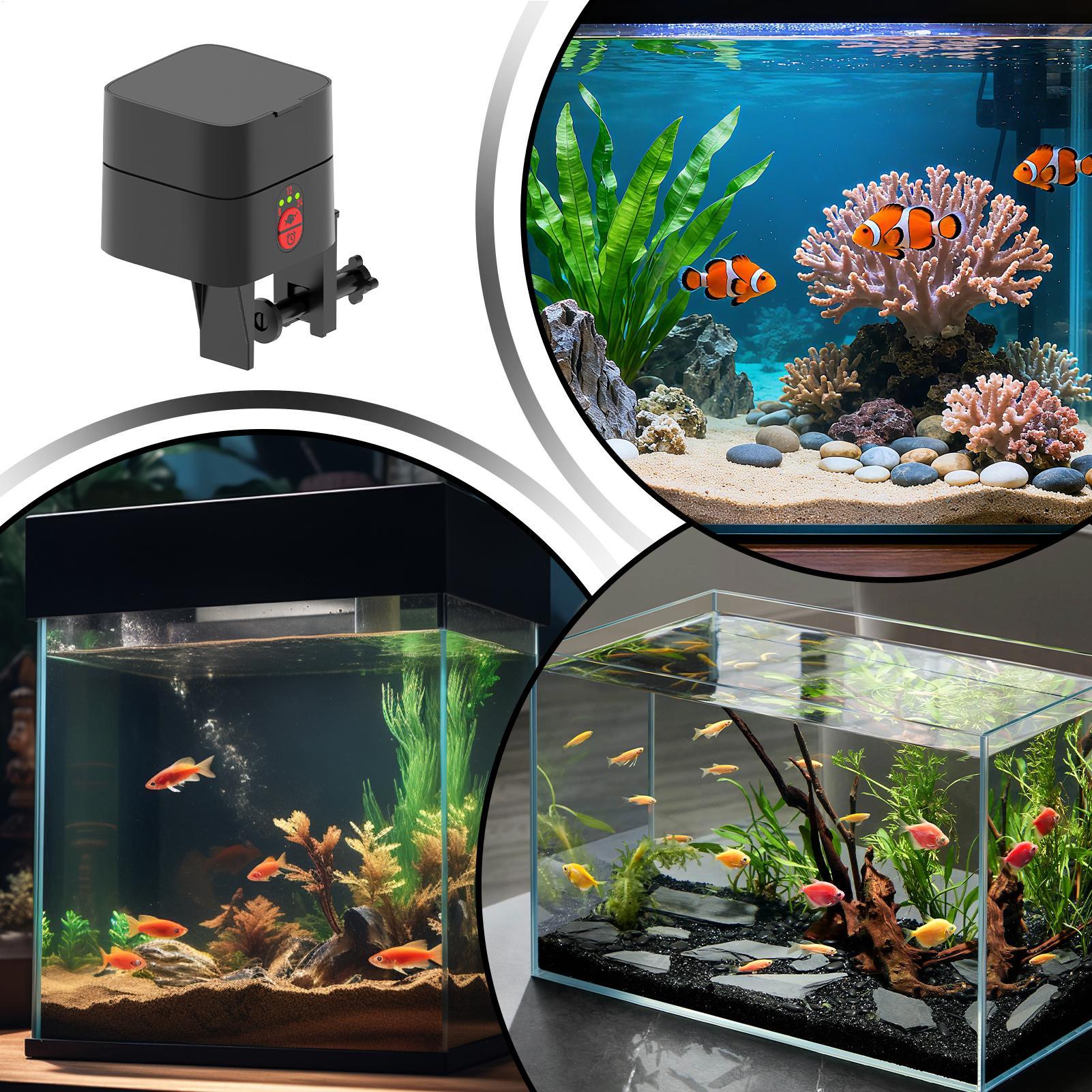 Auto Fish Feeder For Aquarium  - огляд і ціна Aquarium Fish Feeder