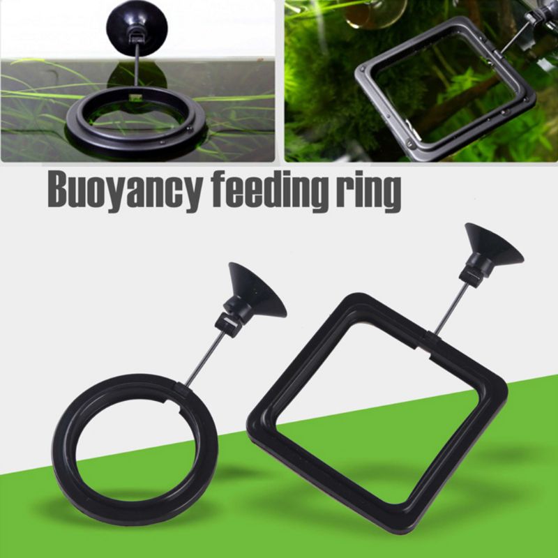 Aquarium Fish Feeding Ring Fis - огляд і ціна Aquarium Fish Feeder